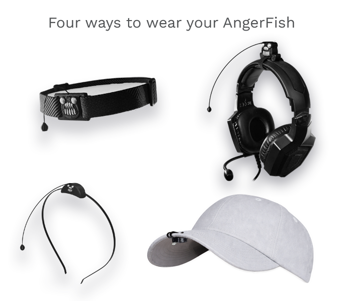 260120 all four skus 1